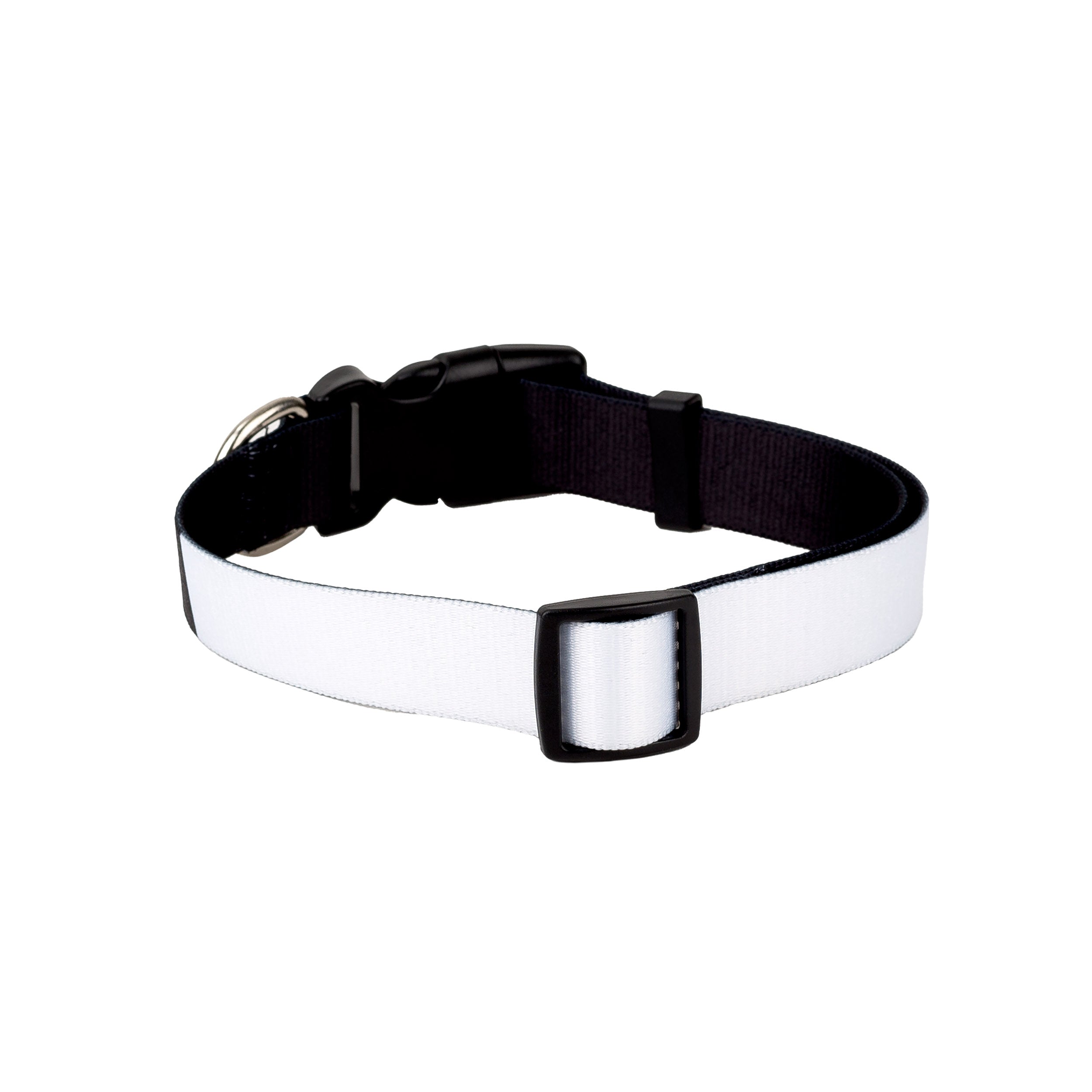 Collar de Perro